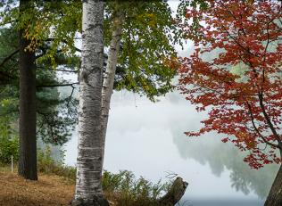 Fall foliage looking over a placid lake in New Hampshire